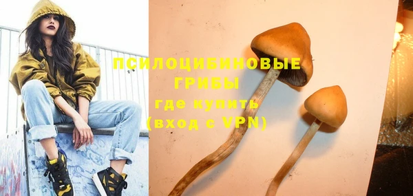 Альфа ПВП Аркадак
