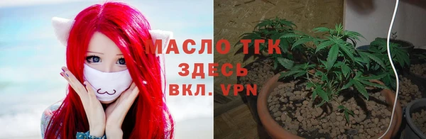 Альфа ПВП Аркадак