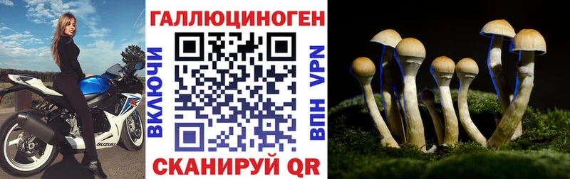 Псилоцибиновые грибы GOLDEN TEACHER Никольск