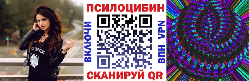 купить наркотик  Никольск  Псилоцибиновые грибы прущие грибы 